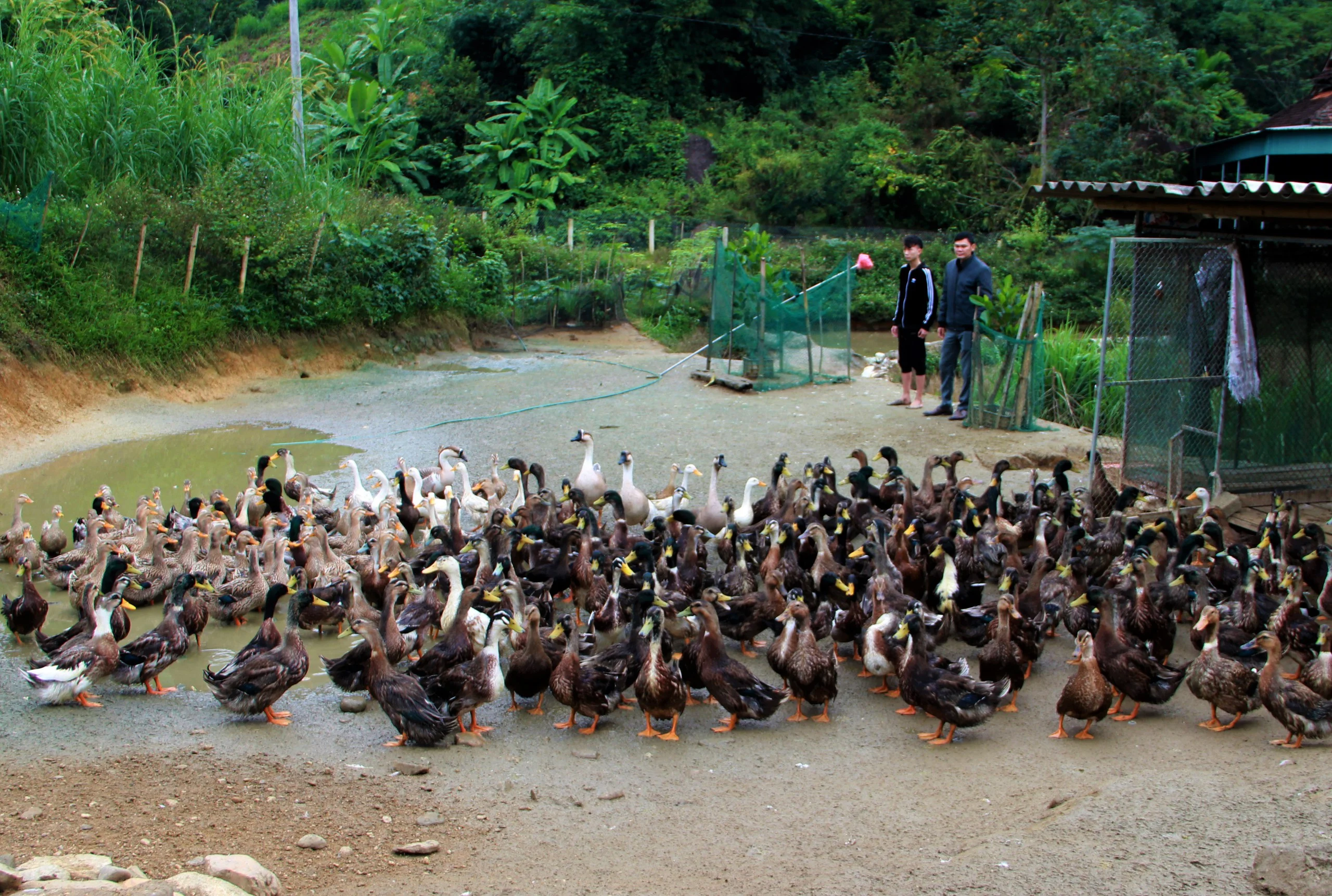 2-Day Hanoi Craft Villages Bicycle Tour